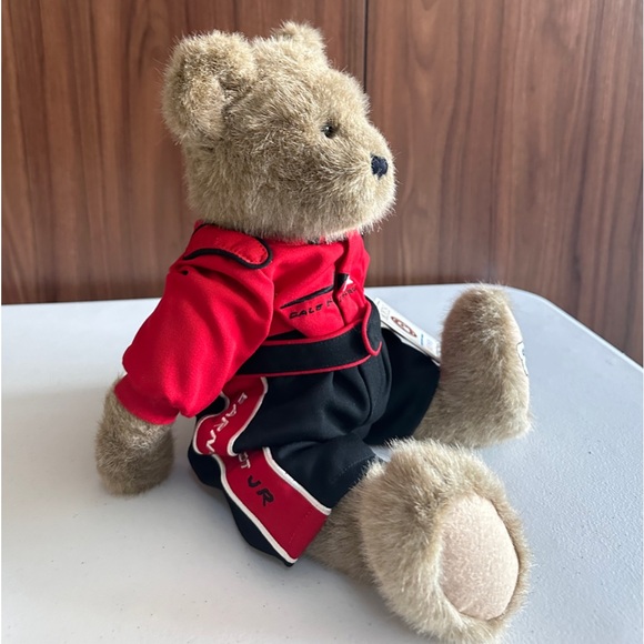 DALE EARNHARDT JR ( 8 ) NASCAR - COLLECTORS BOYDS BEAR - Picture 2 of 12